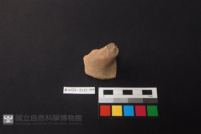 陶片藏品圖，第1張