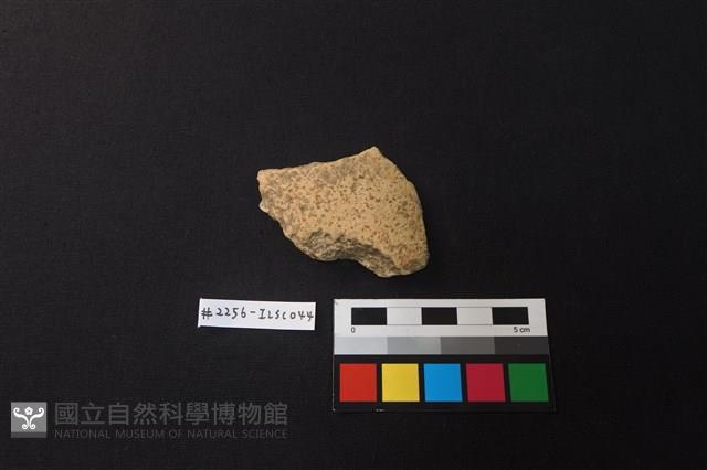 陶片藏品圖，第1張