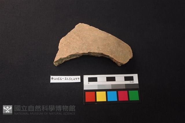 陶片藏品圖，第1張