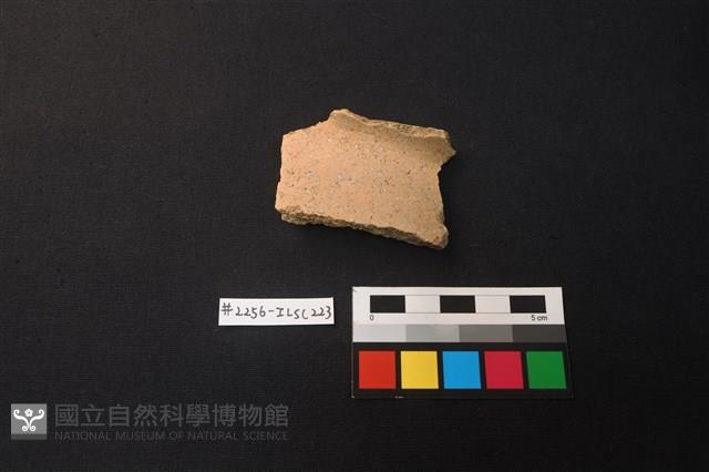 陶片藏品圖，第1張