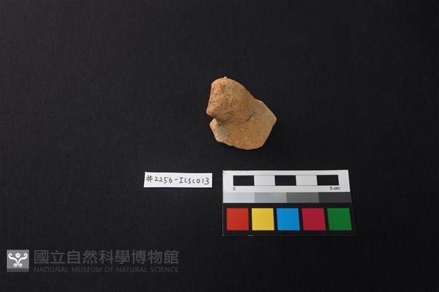 陶片藏品圖，第1張