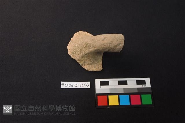 陶片藏品圖，第1張