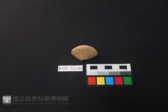 陶片藏品圖，第1張