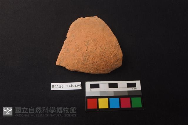 Accession Number:ILSC243 Collection Image, Figure 1, Total 2 Figures