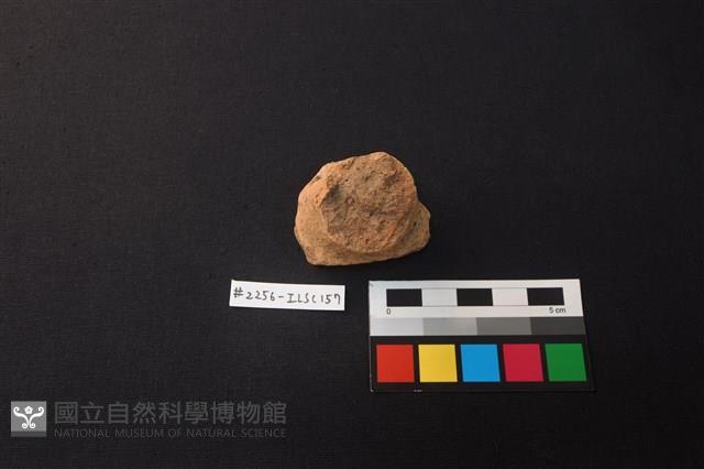 陶片藏品圖，第1張