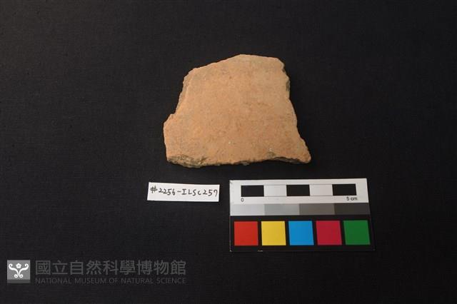 陶片藏品圖，第1張