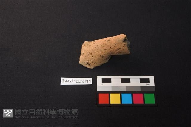 陶片藏品圖，第1張