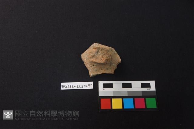 陶片藏品圖，第1張