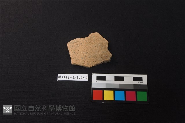 陶片藏品圖，第1張