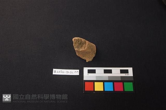 陶片藏品圖，第1張