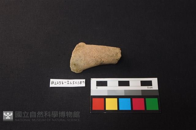 陶片藏品圖，第1張