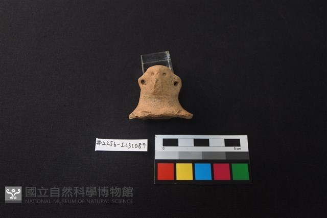 陶片藏品圖，第1張