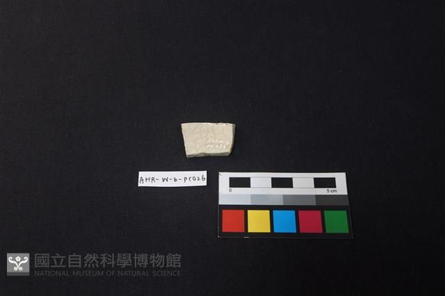 瓷片藏品圖，第2張