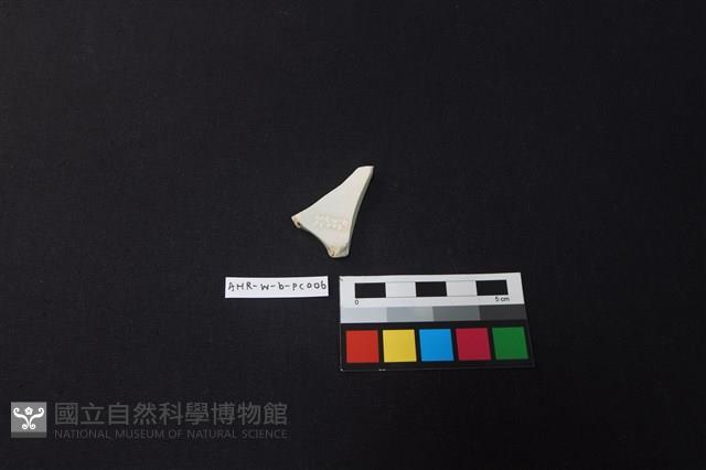 瓷片藏品圖，第2張