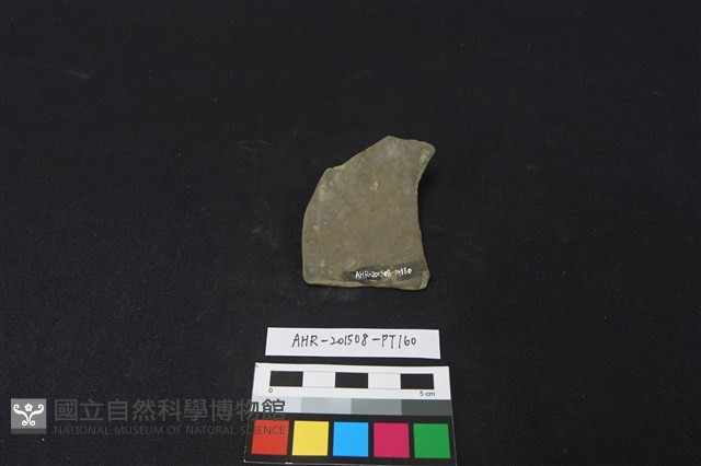 陶片藏品圖，第2張