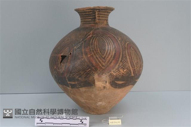 彩陶壺藏品圖，第2張