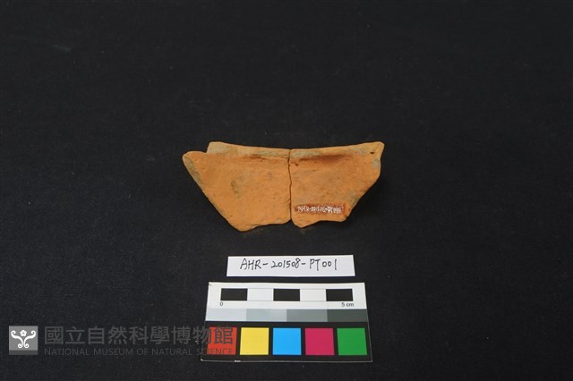 陶片藏品圖，第2張