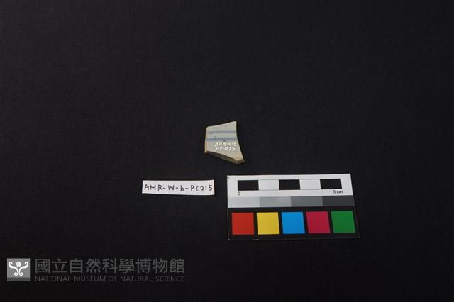 瓷片藏品圖，第2張