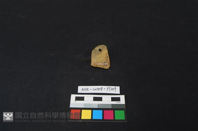 陶片藏品圖，第2張