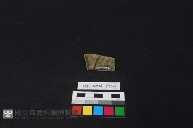 陶片藏品圖，第2張