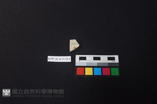 瓷片藏品圖，第2張