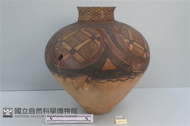 彩陶罐藏品圖，第7張