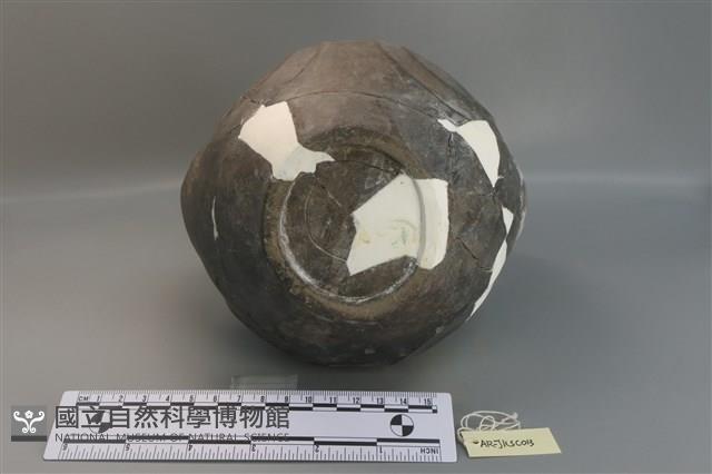 黑陶雙耳罐藏品圖，第7張