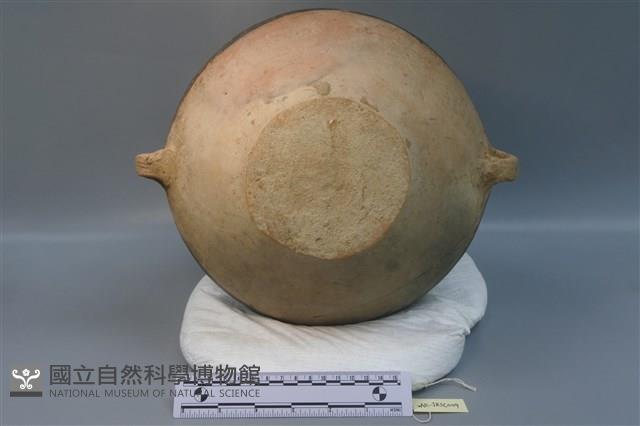 彩陶罐藏品圖，第5張