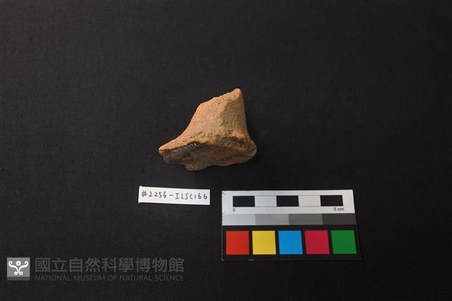 陶片藏品圖，第3張