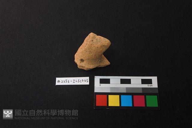 陶片藏品圖，第3張