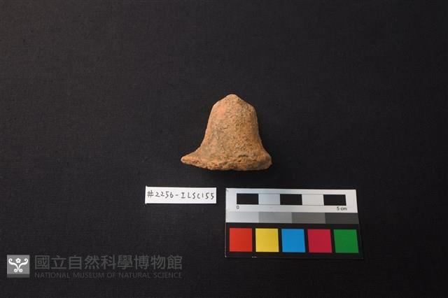 陶片藏品圖，第3張