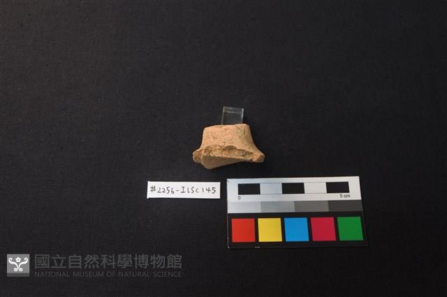 陶片藏品圖，第3張