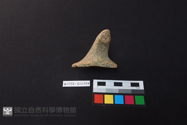 陶片藏品圖，第3張