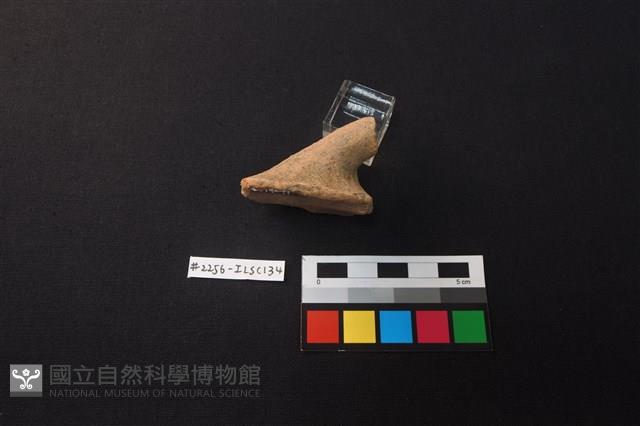 陶片藏品圖，第3張