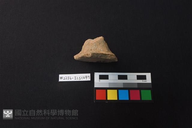 陶片藏品圖，第3張