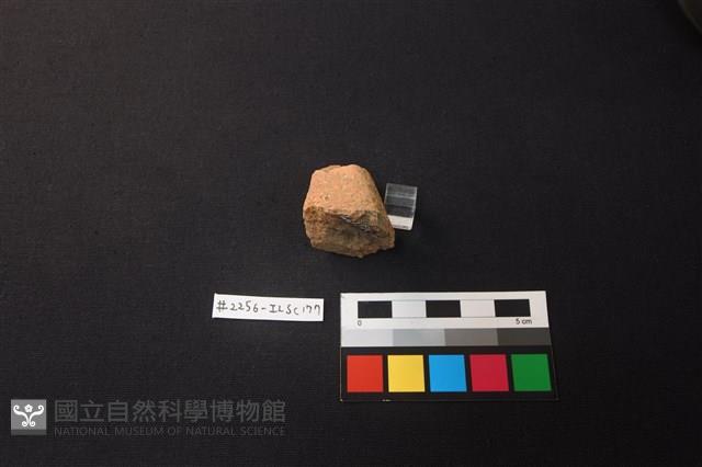 陶片藏品圖，第3張