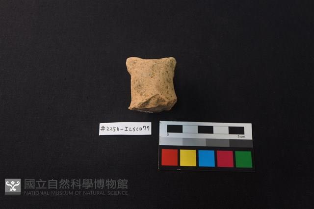 陶蓋藏品圖，第3張