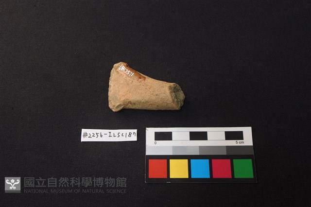 陶片藏品圖，第3張