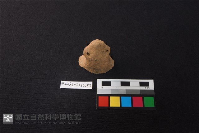 陶片藏品圖，第3張