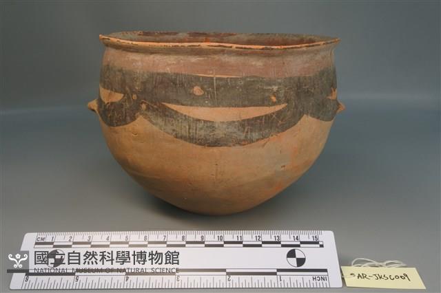 彩陶缽藏品圖，第4張