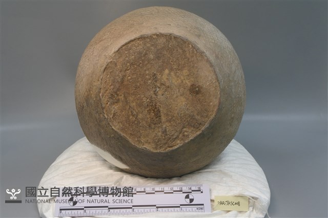 幾何印紋陶罐藏品圖，第6張