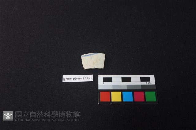 瓷片藏品圖，第1張