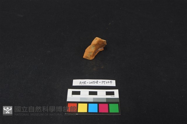 陶片藏品圖，第1張