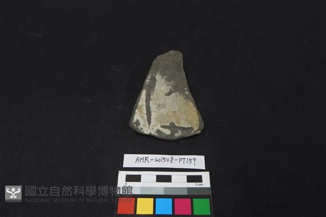 陶片藏品圖，第1張