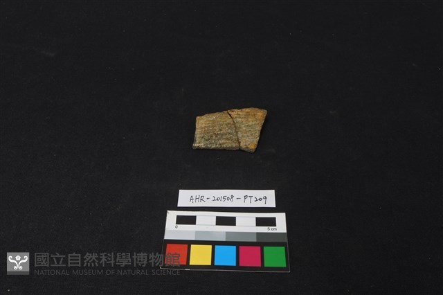 陶片藏品圖，第1張