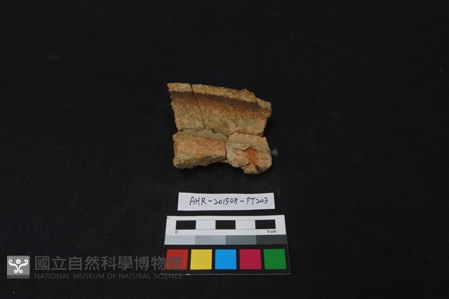 陶片藏品圖，第1張