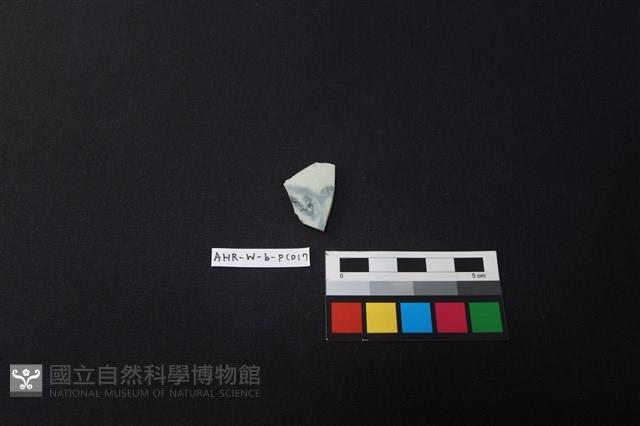 瓷片藏品圖，第1張