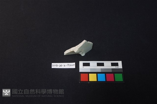 瓷盤藏品圖，第3張