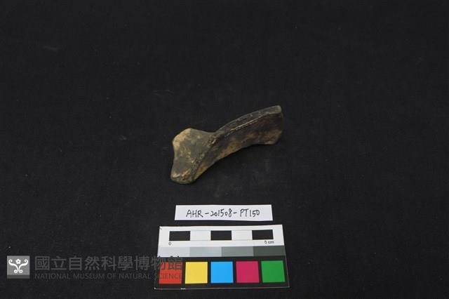 陶片藏品圖，第3張