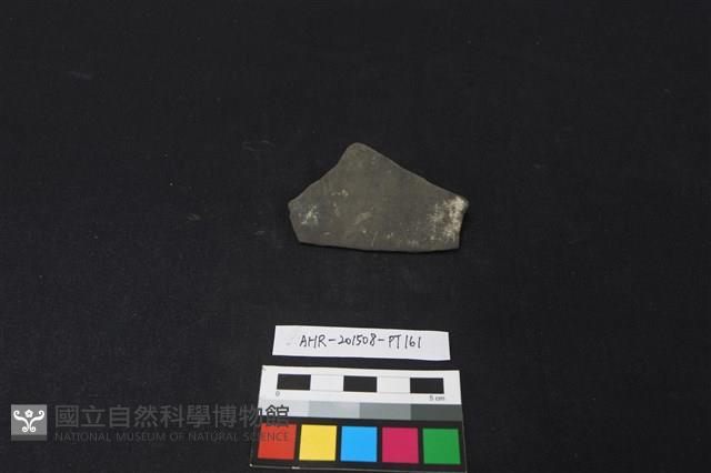 陶片藏品圖，第2張